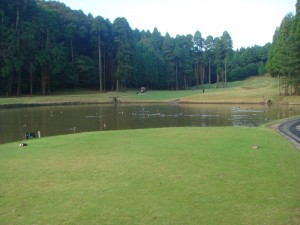 DSC05800