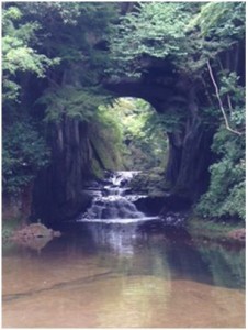 WS000012